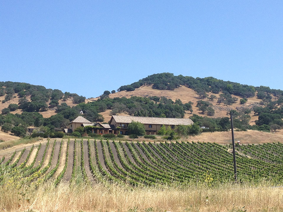 California Wine Country: Day 1